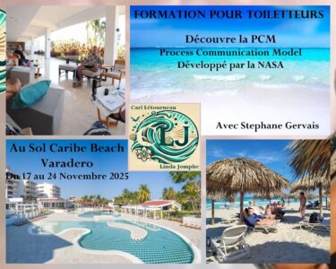 Ateliers PCM a Cuba pour toiletteurs