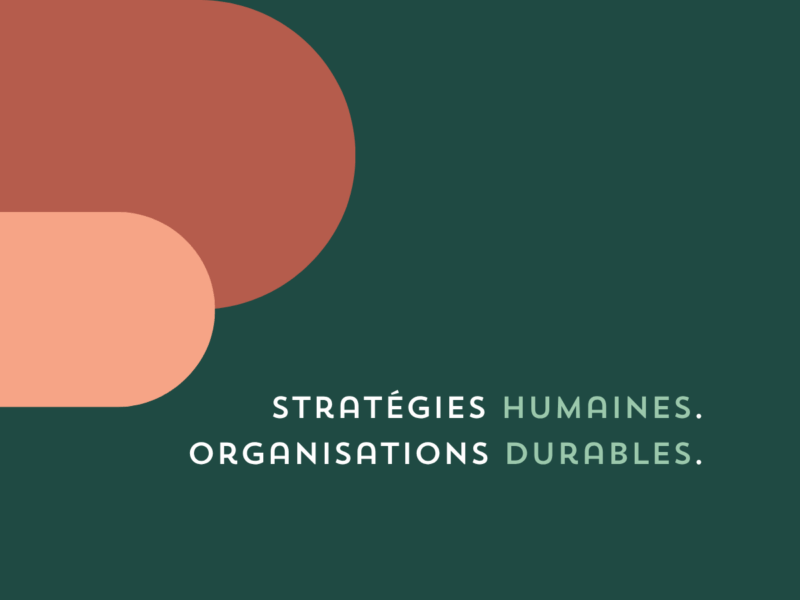 METOD | Consultante en stratégie et développement organisationnel